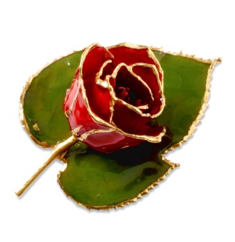 Brooches & Lapel Pins