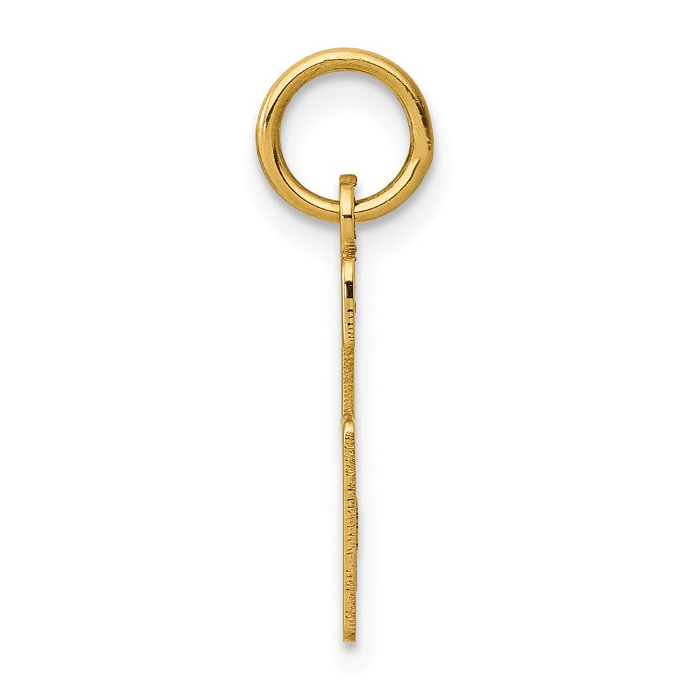 14k Small Elongated Number 6 Charm