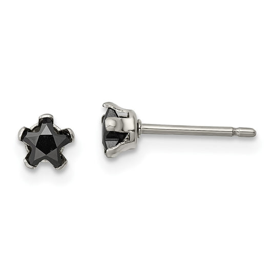 Stainless Steel Polished 4mm Black Star CZ Stud Post Earrings