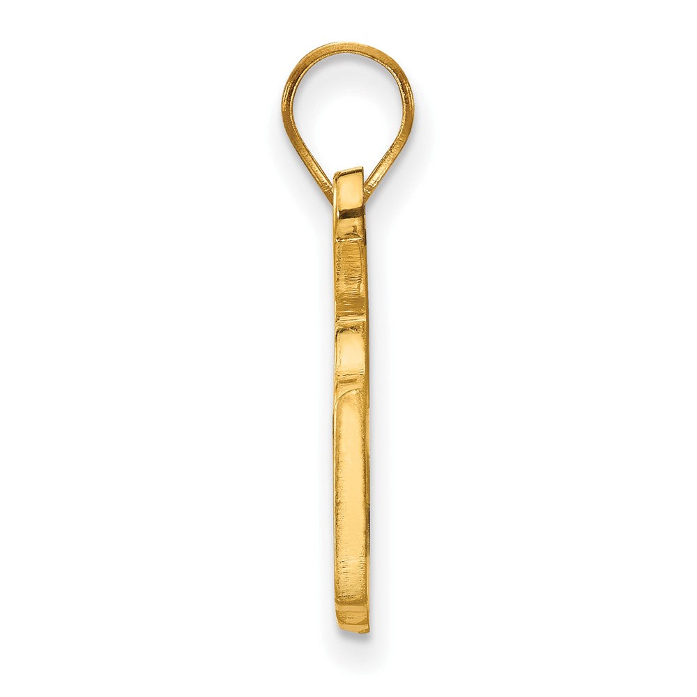 Sterling Silver Gold-plated LogoArt College of William and Mary Medium Pendant