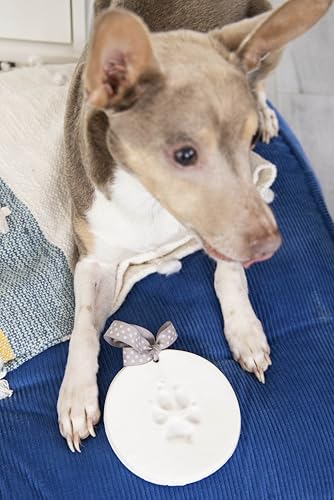 Pearhead Pet Pawprint Keepsake Kit for Dogs or Cats, Includes Impression Material, 5”Wx5”H