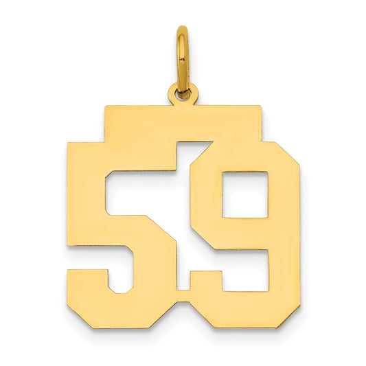 14k Medium Polished Number 59 Charm