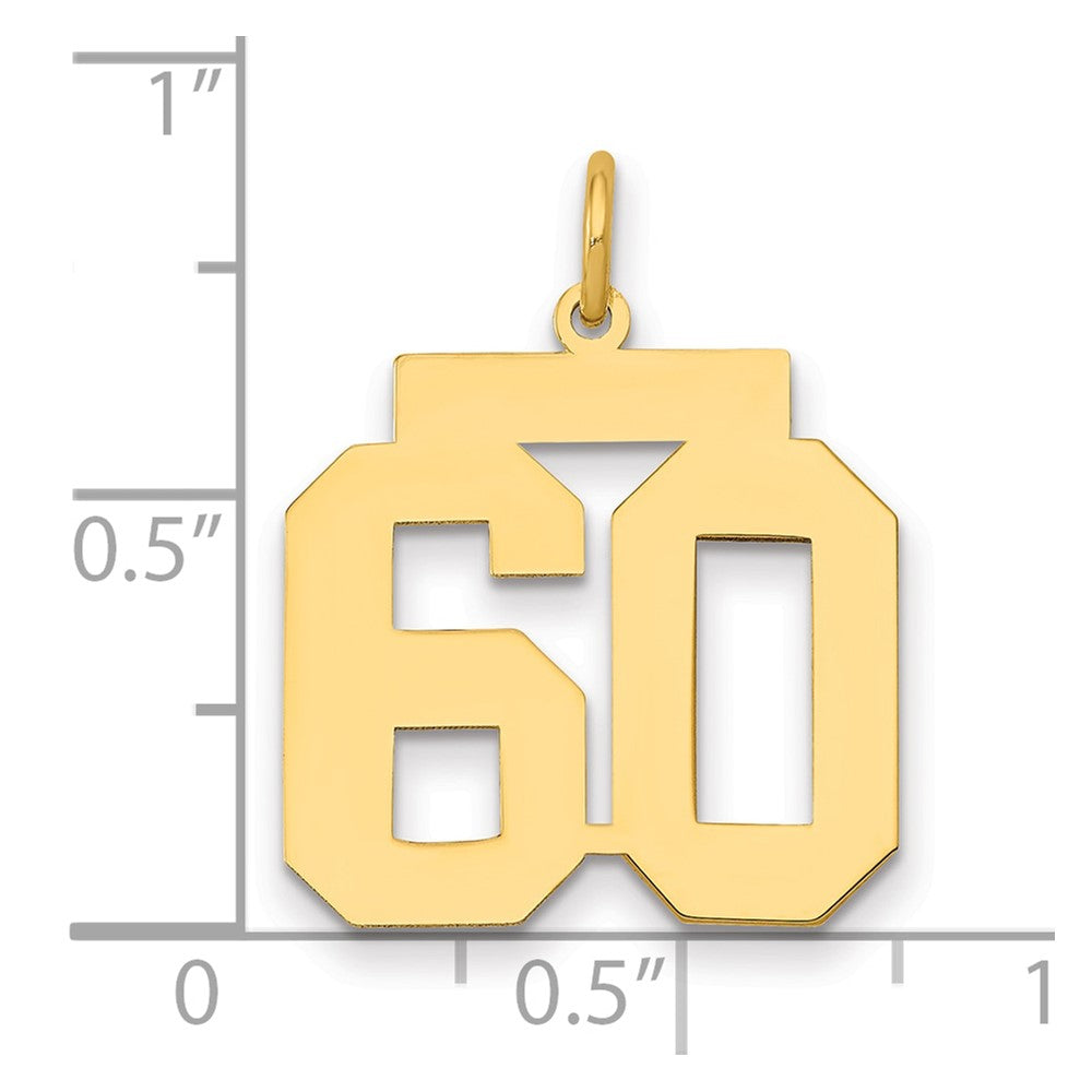 14k Medium Polished Number 60 Charm