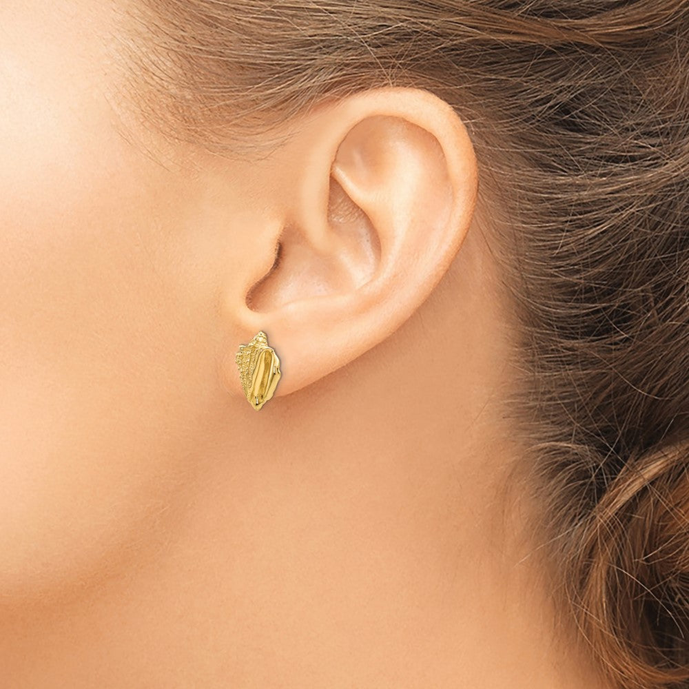14k Conch Shell Earrings