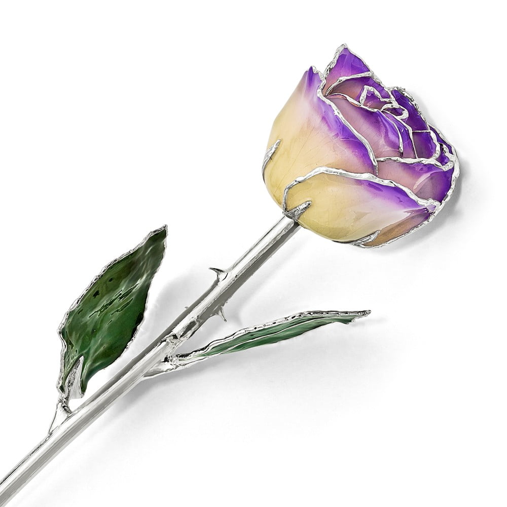 White/Blue Opal Lacquer Dipped Silver Trimmed Real Rose QGM16751
