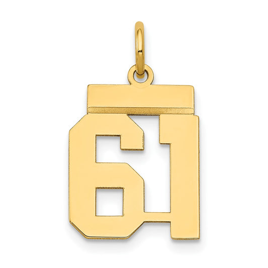 14k Small Polished Number 61 Charm