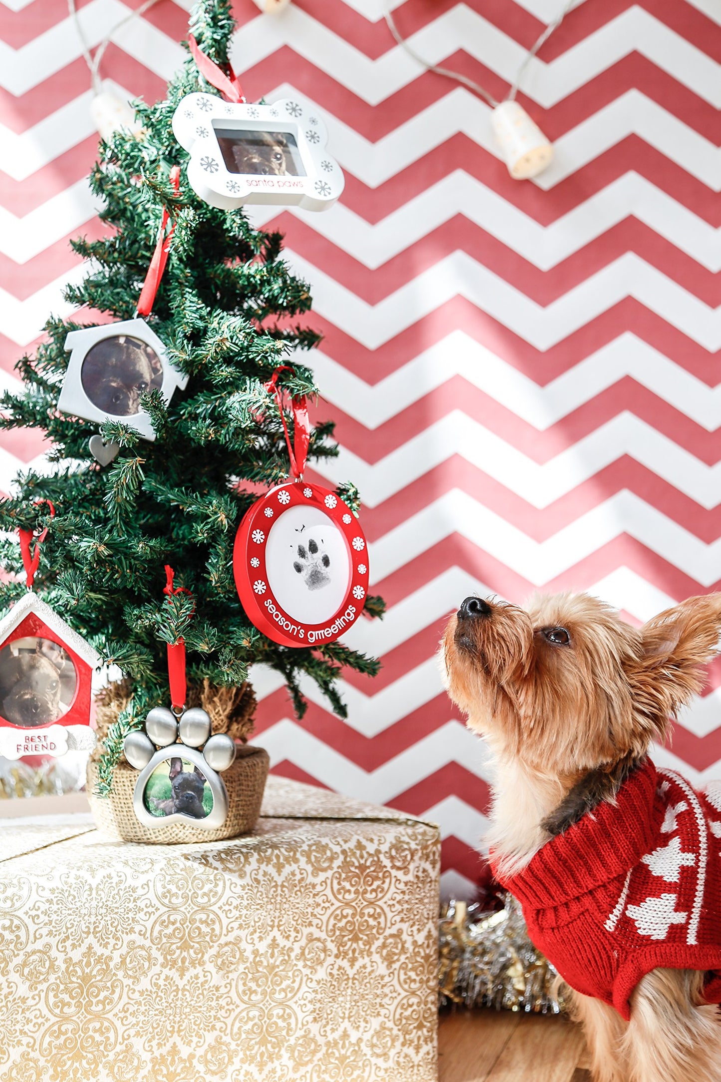 Pearhead Pawprints Double-Sided Photo Ornament and Clean-Touch Ink Pad