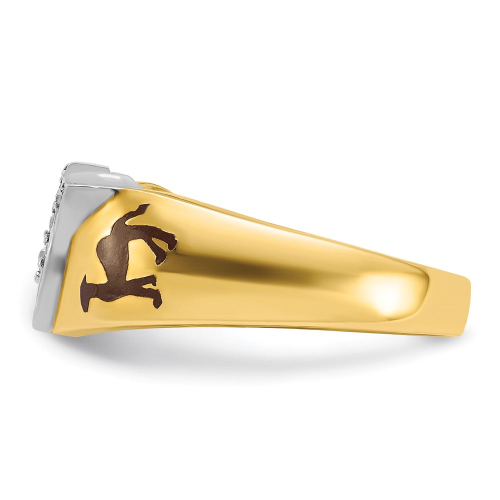 IBGoodman 14k Two-tone Men's Polished with Multi-color Enamel and Diamond Masonic Shriner's Ring