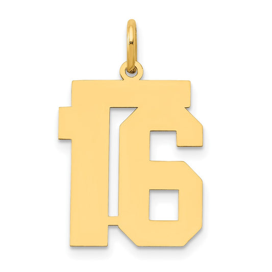 14k Medium Polished Number 16 Charm