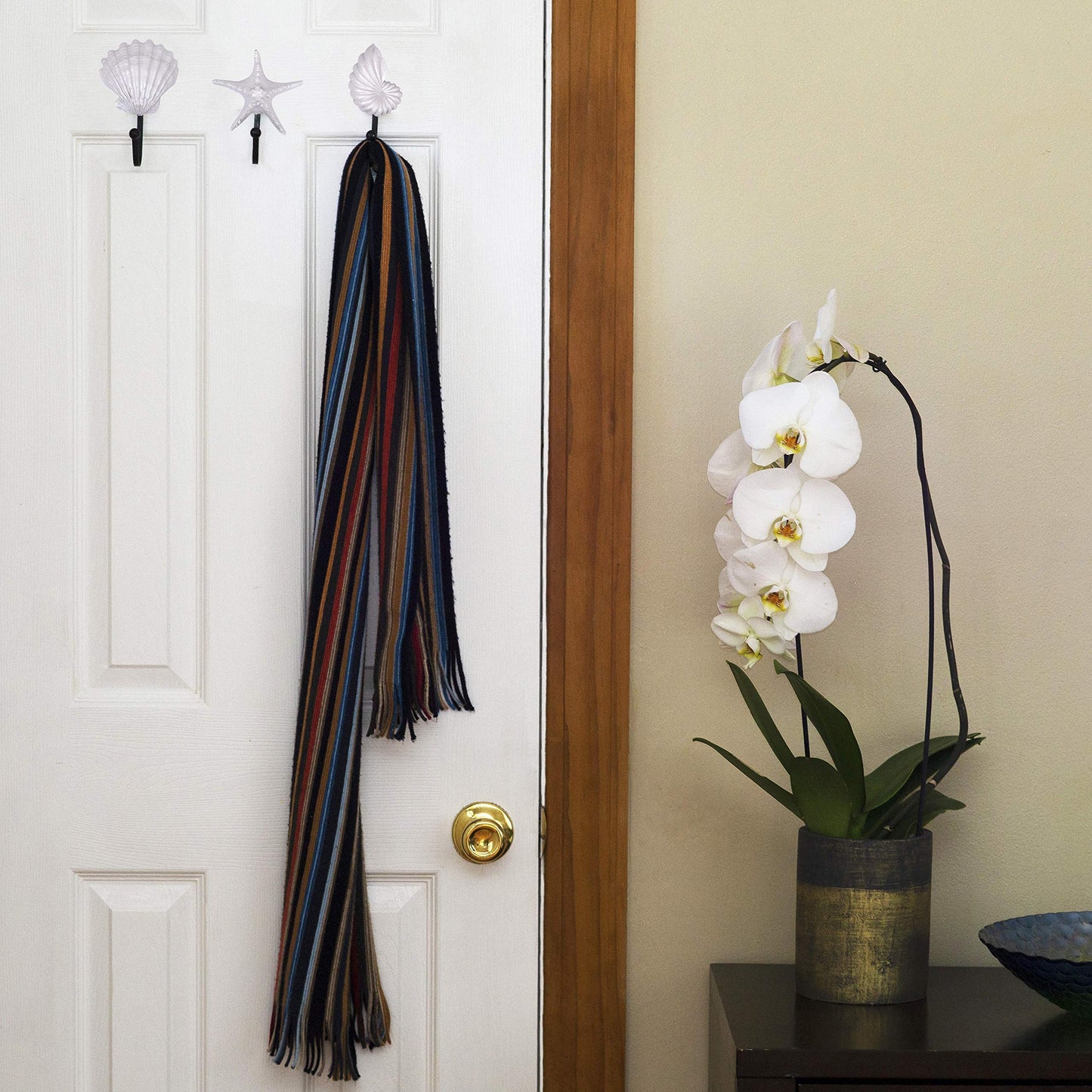 Pearly White Seashells Resin Wall Coat Hooks (Set of 3)