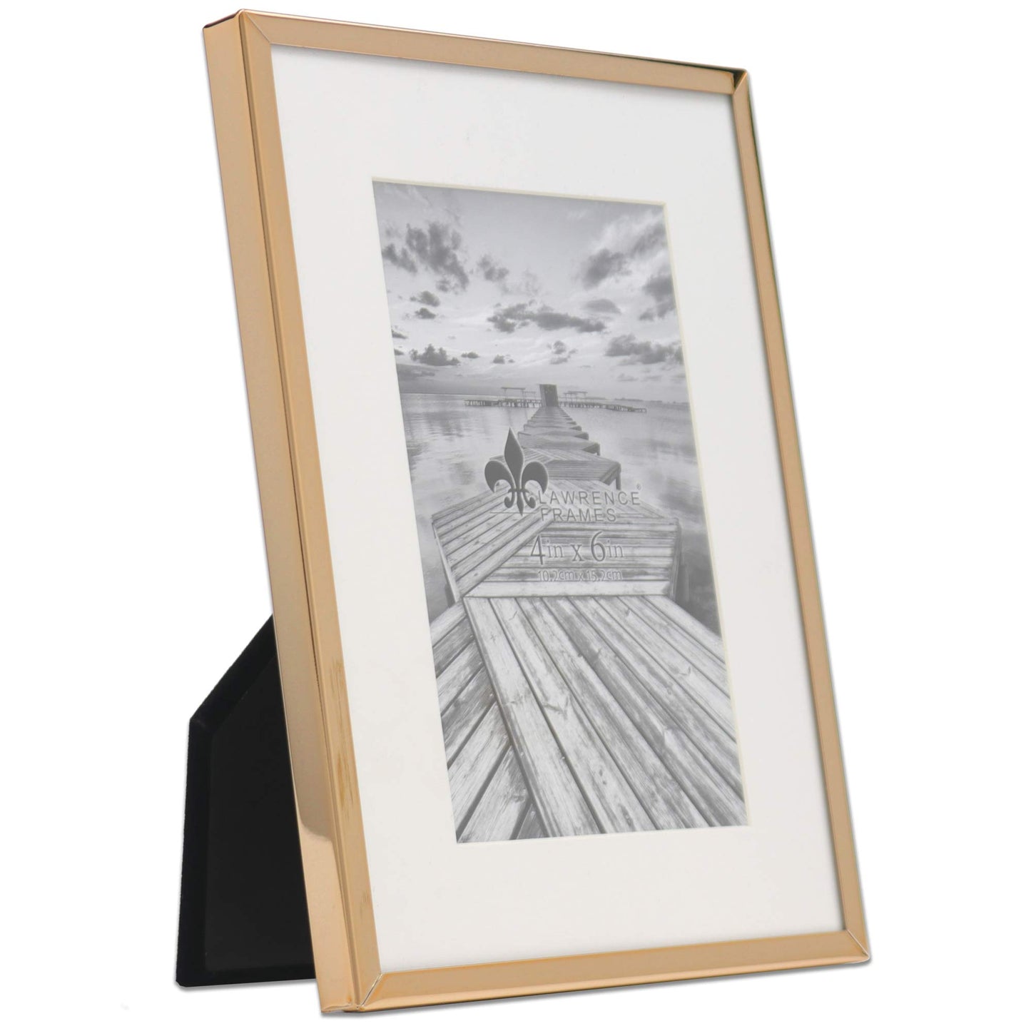 Elegant Gold Metal Picture Frame with Bevel Cut Mat for 4x6 Photo