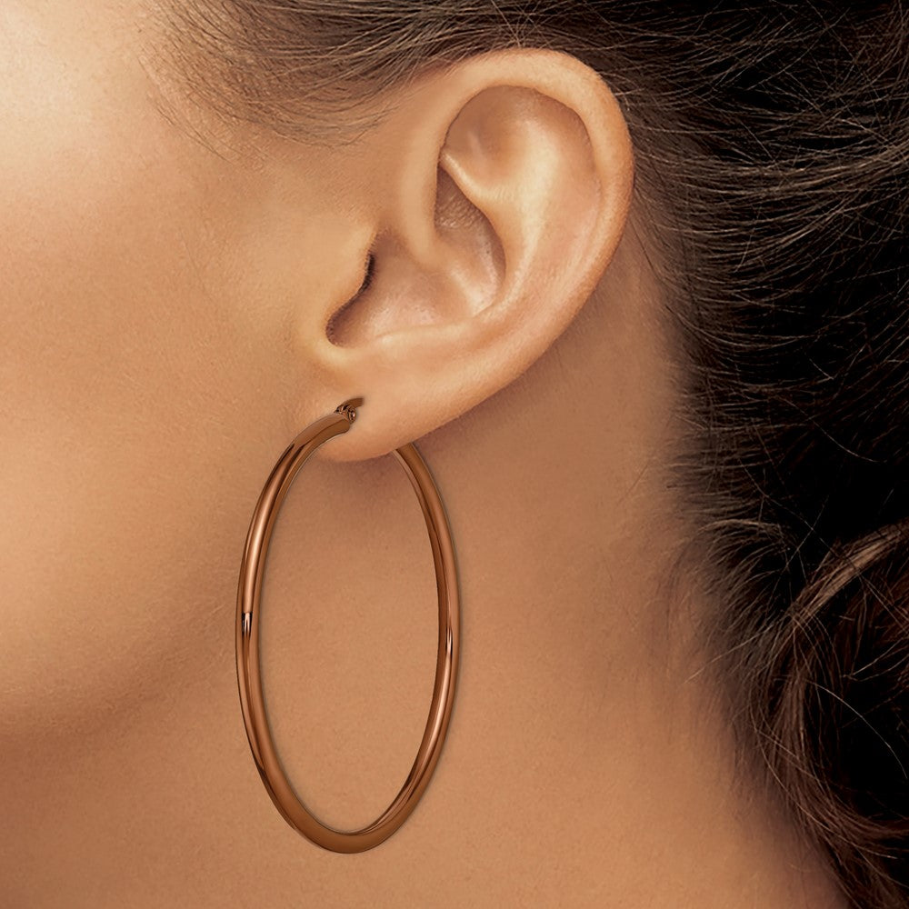 Stainless Steel Polished Brown IP-plated Round Hoop Earrings