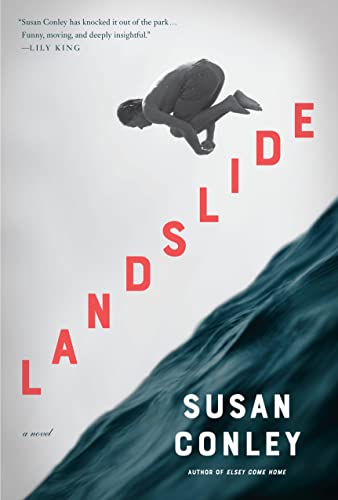 Landslide: A novel [Hardcover] Conley, Susan