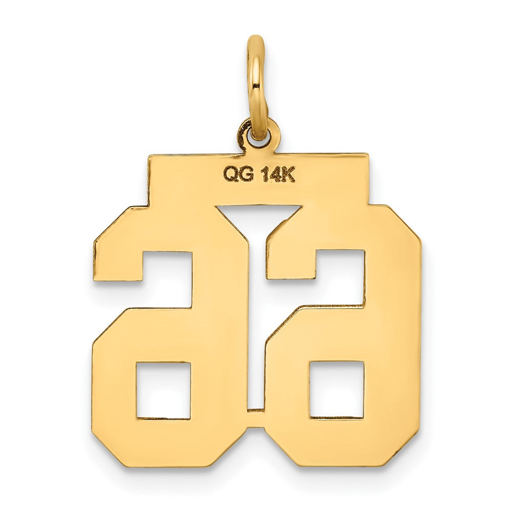 14k Medium Satin Number 66 Charm