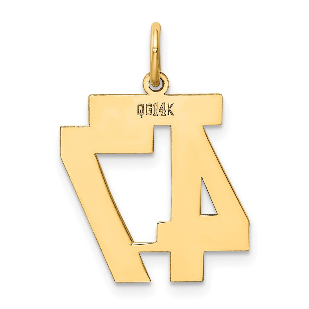 14k Medium Polished Number 47 Charm
