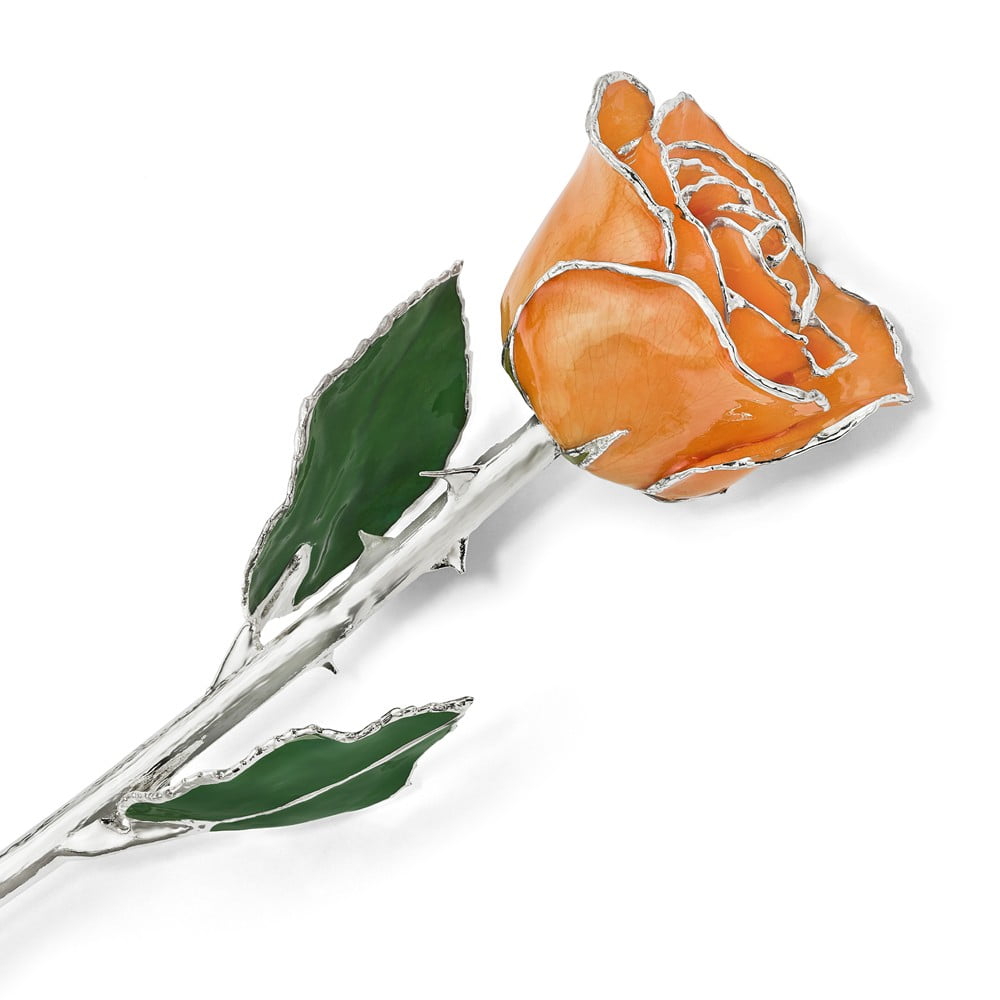 Lacquer Dipped Silver Trim Orange Rose