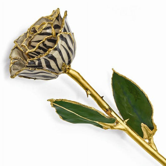 Lacquer Dipped 24k Gold Trim Cream/BlackZebra Rose