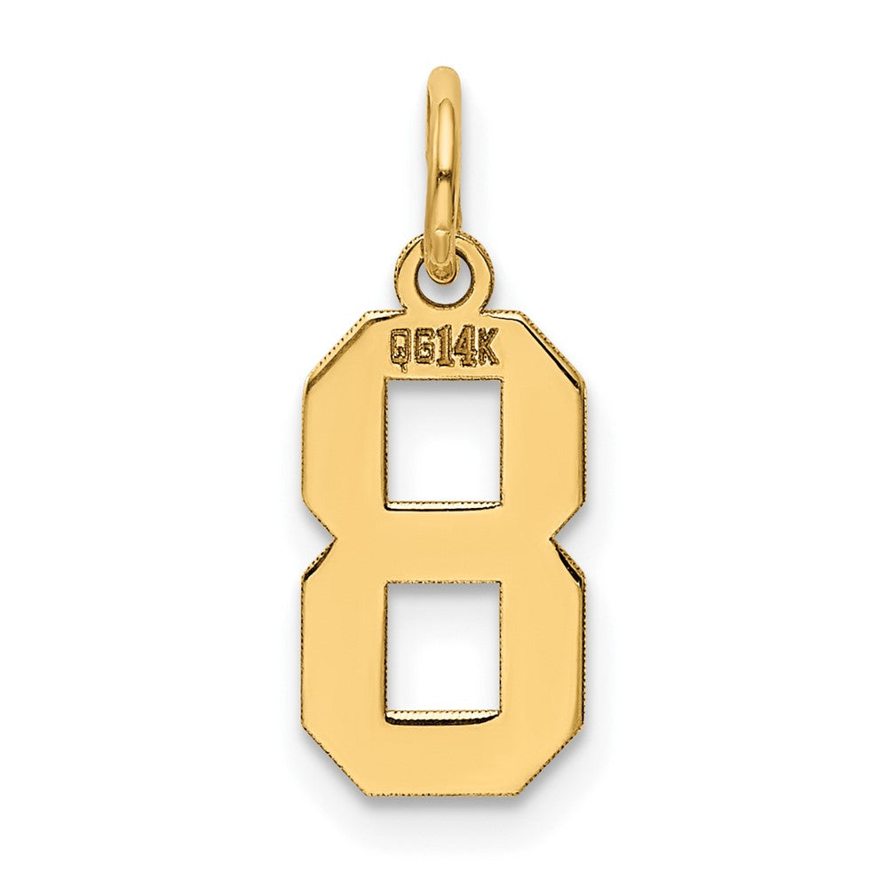 14k Small Polished Number 8 Charm