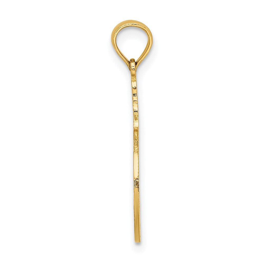 14K Flamingos In Circle Charm