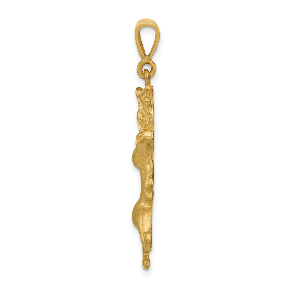 10k Leo Zodiac Charm