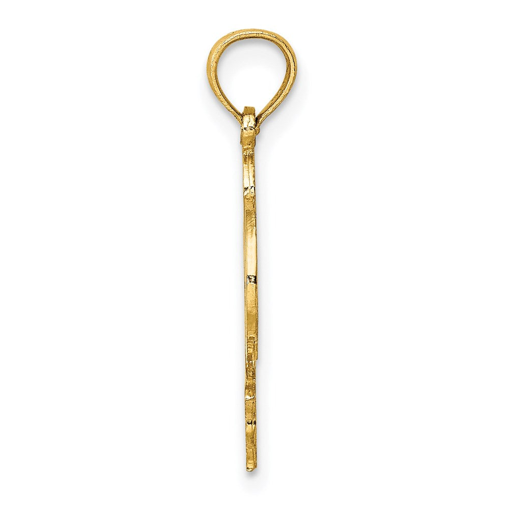 14K Flat and Polished Dolphin Charm