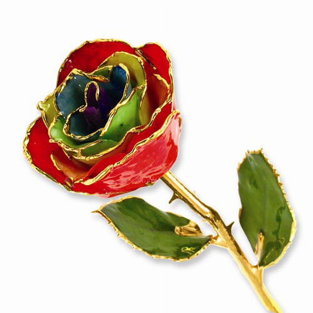 24k Gold Plated Trim Gypsy Rainbow Rose