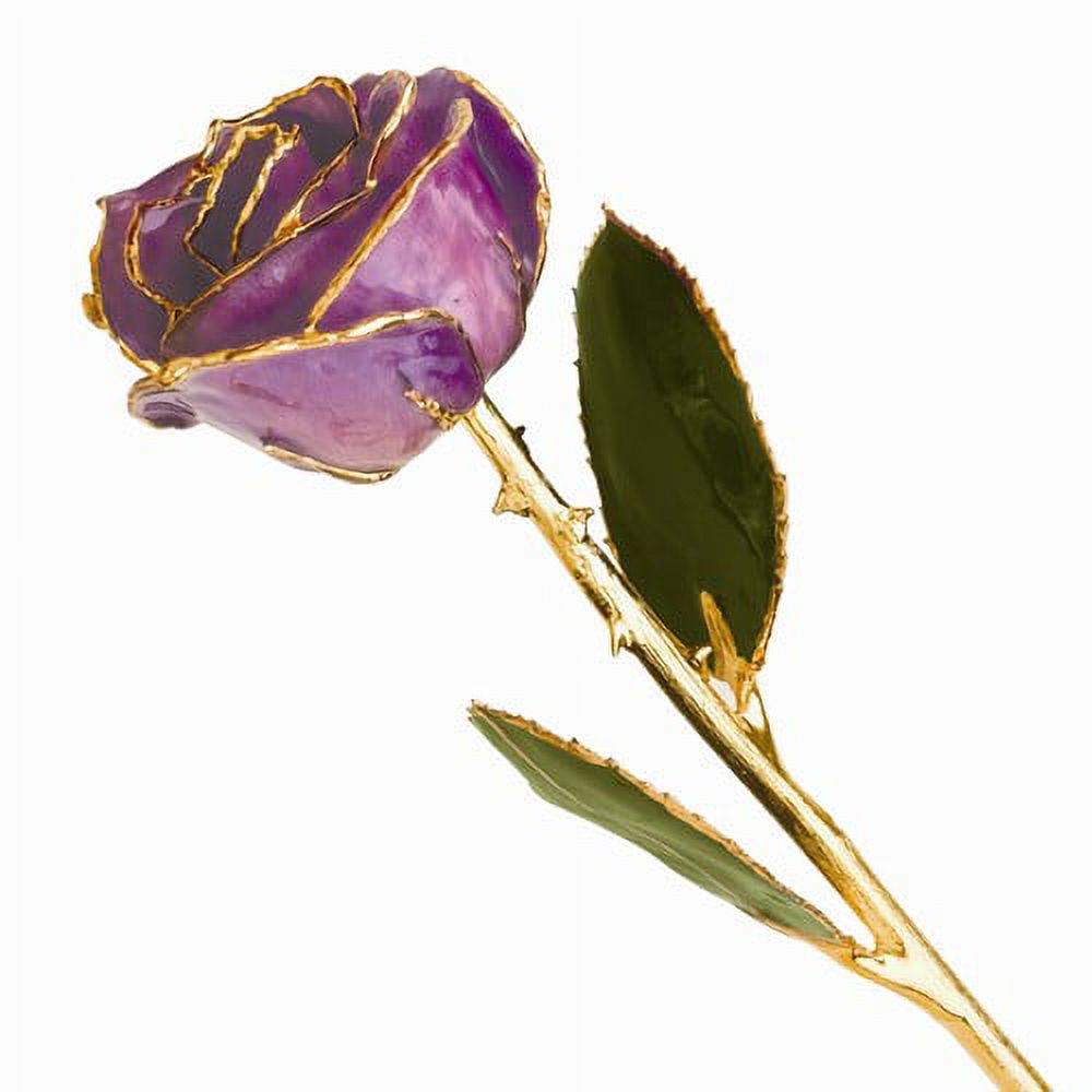 24k Gold Plated Trim Lilac Rose