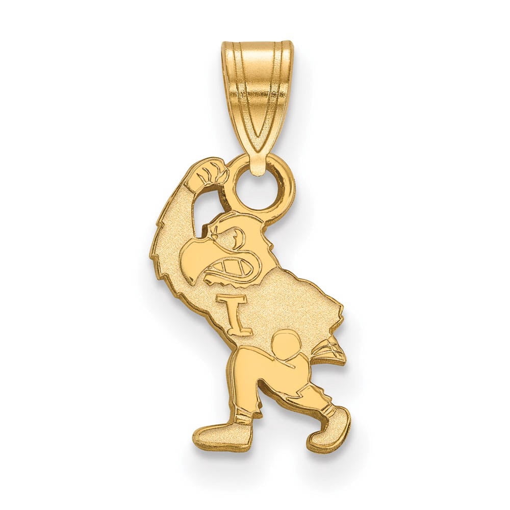 14k Gold LogoArt University of Iowa Hawk Mascot Small Pendant Q4Y076UIA