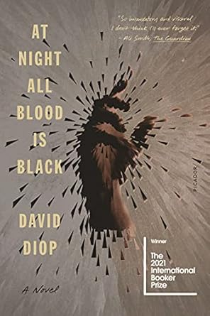 At Night All Blood Is Black [Paperback] Diop, David
