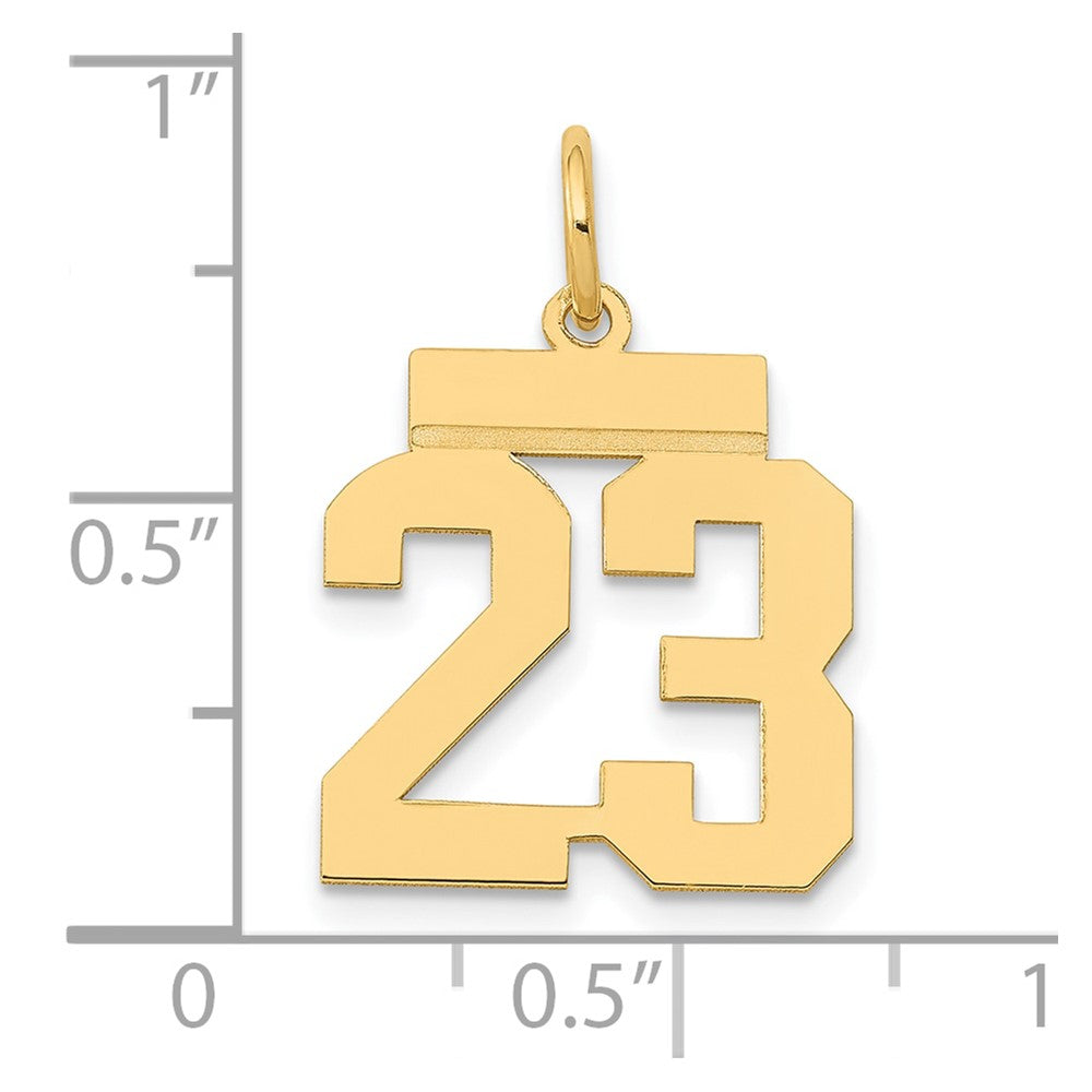 14k Small Polished Number 23 Charm