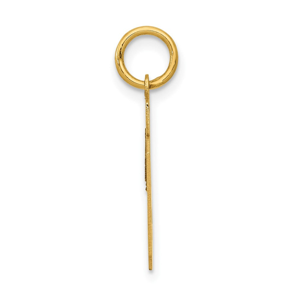 14k Small Polished Number 19 Charm