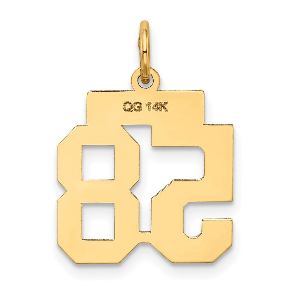 14k Small Satin Number 58 Charm