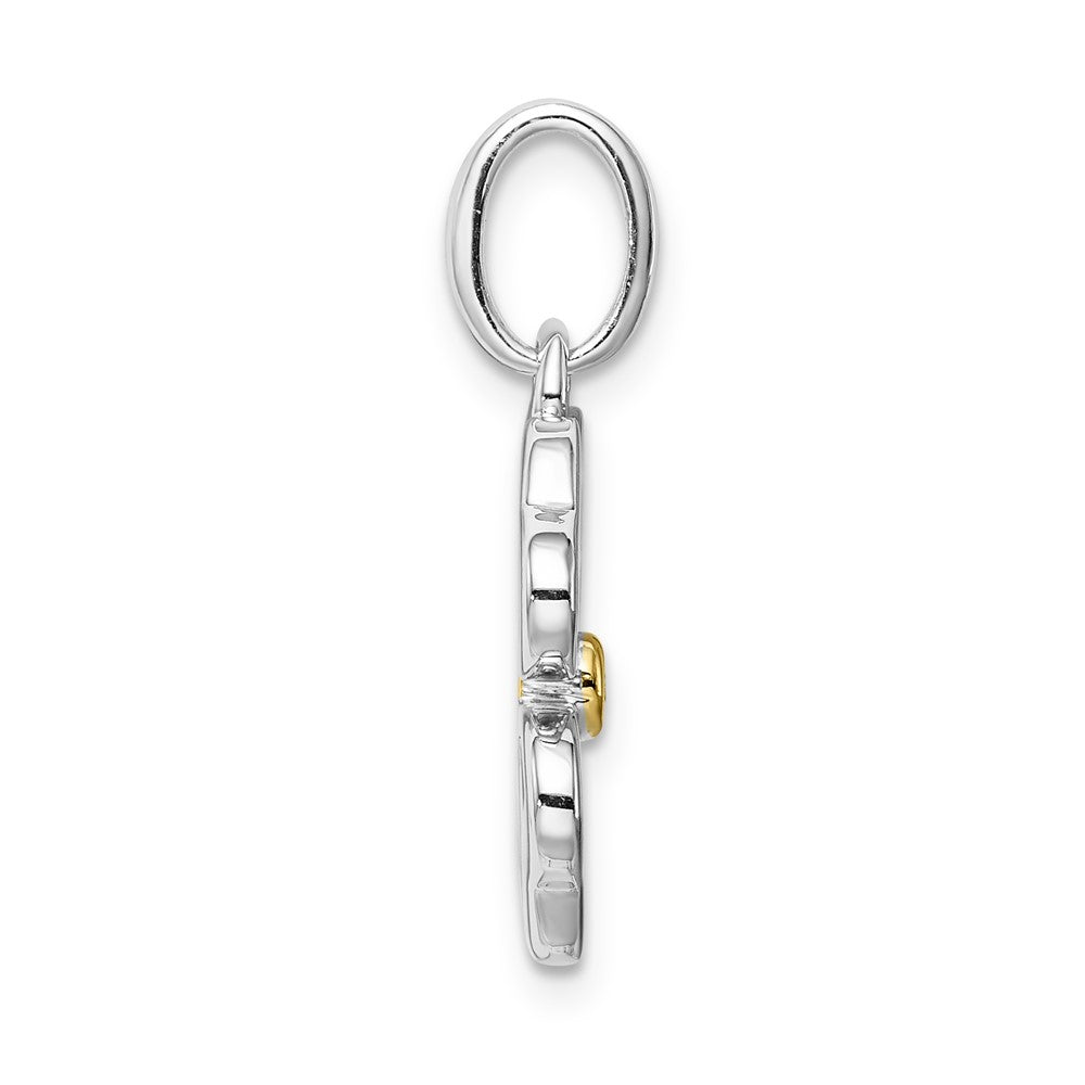 No chain-SS & RG-plate Middle Dia Pend- 1 - .01 RD DIA - Dia: RDG-I3