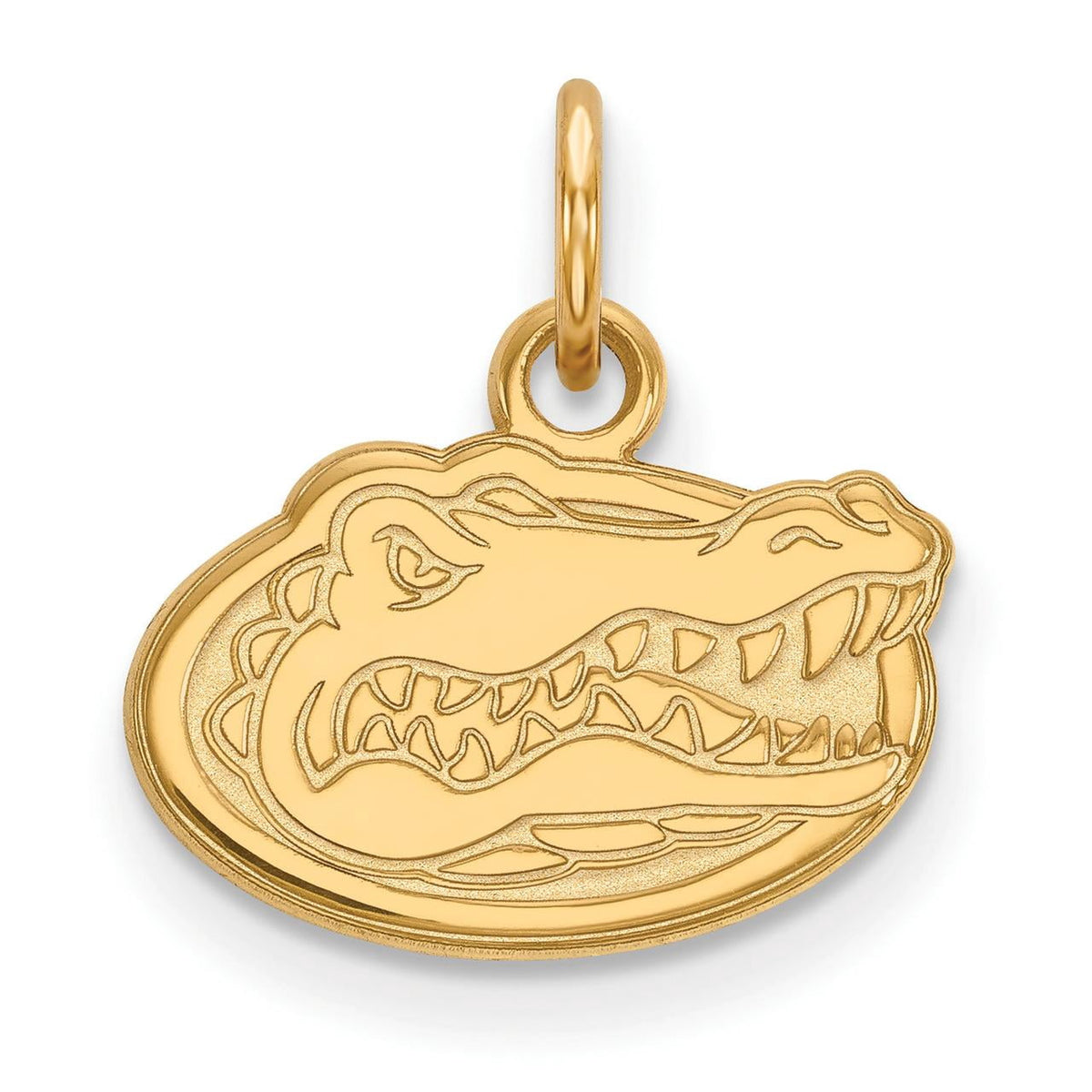 Women's Florida Gators Gold Plated XS Pendant