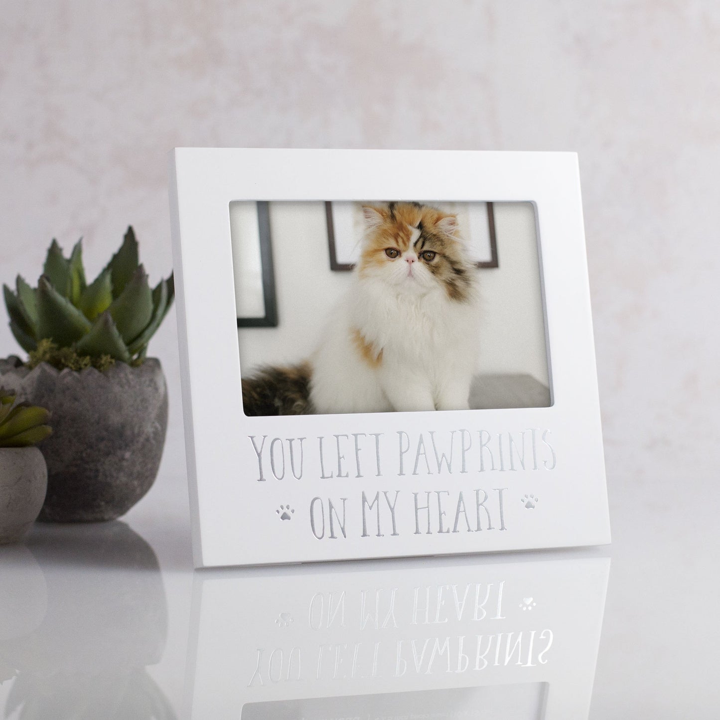 White Wooden YOU LEFT PAWPRINTS ON MY HEART Pet Remembrance 4x6 Photo Frame Q-GM20968