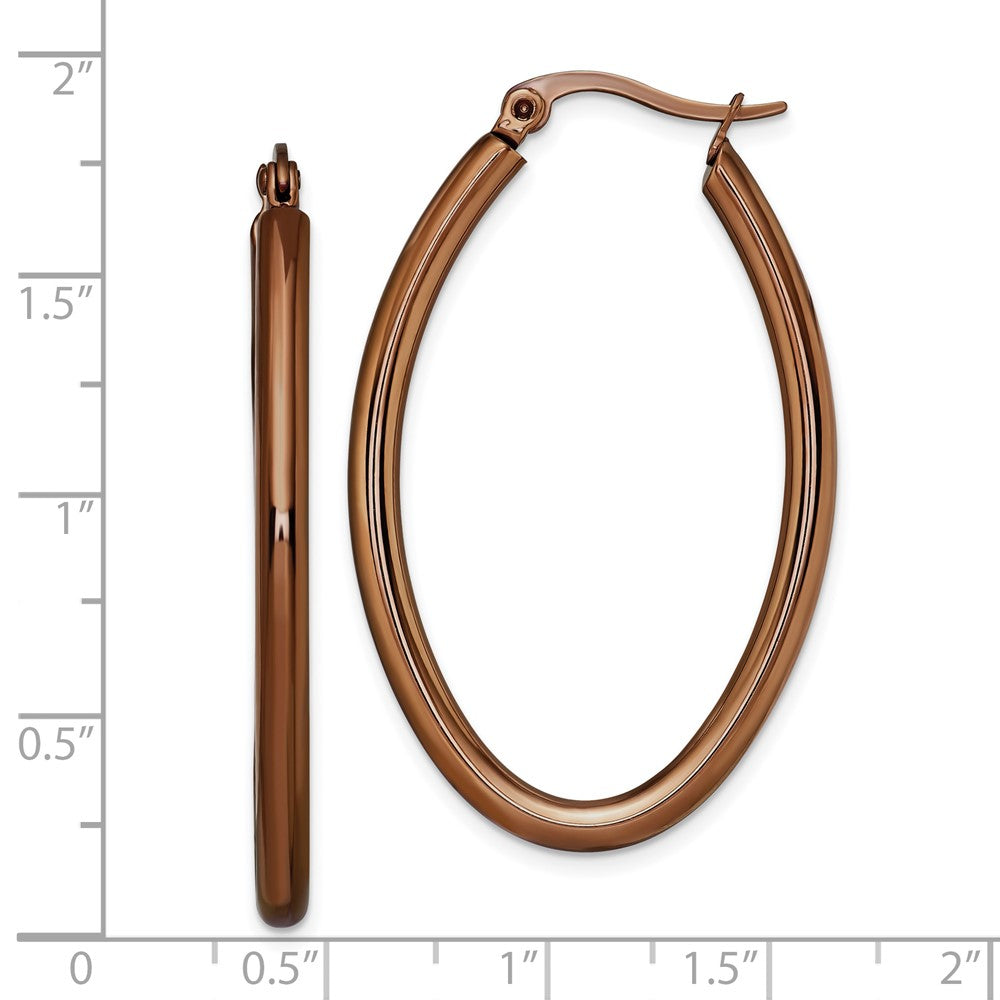 Stainless Steel Polished Brown IP 40mm Diameter Oval Hoop Earrings