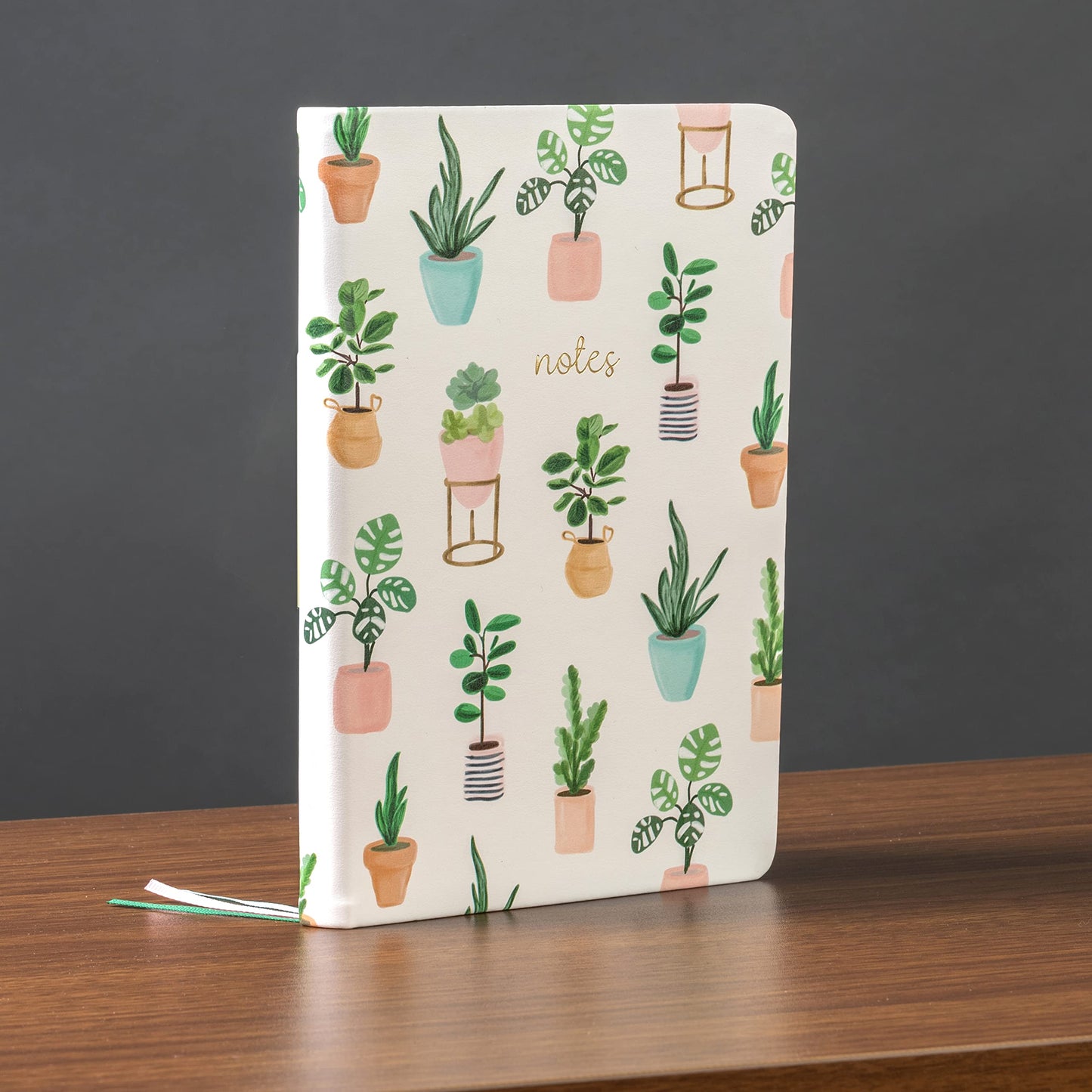 Eccolo Houseplants Journal