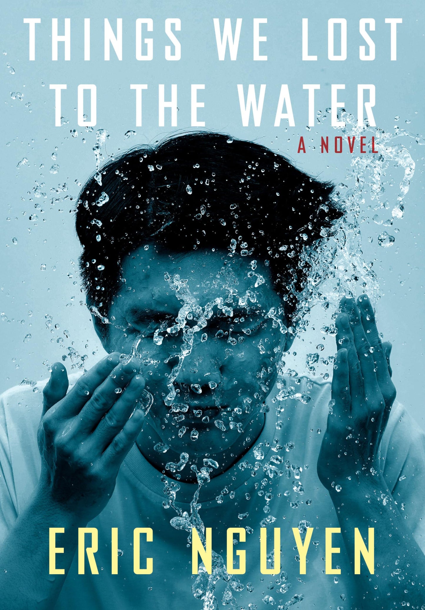 Things We Lost to the Water: A novel [Hardcover] Nguyen, Eric