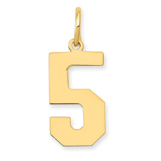 14k Medium Polished Number 5 Charm