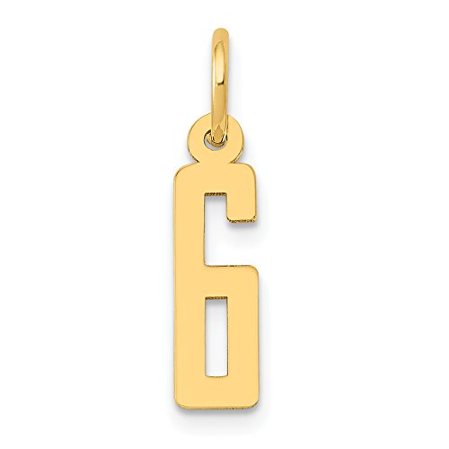 14k Small Elongated Number 6 Charm