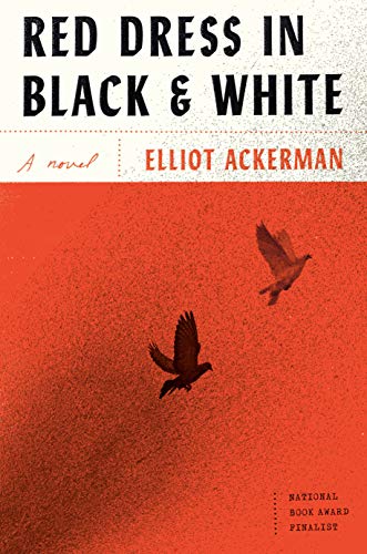 Red Dress in Black and White: A novel [Hardcover] Ackerman, Elliot