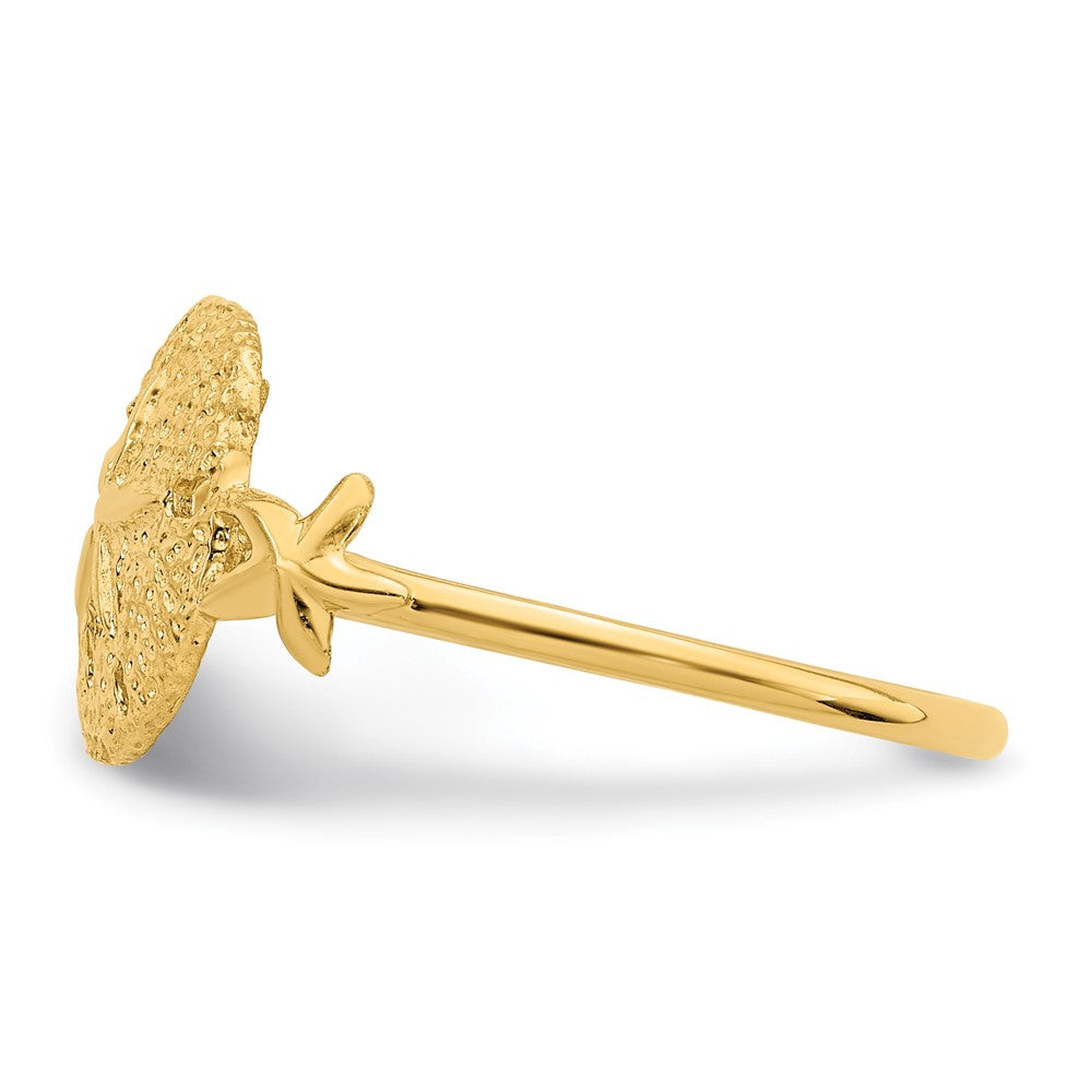 14K Polished Sand Dollar Ring Size 7