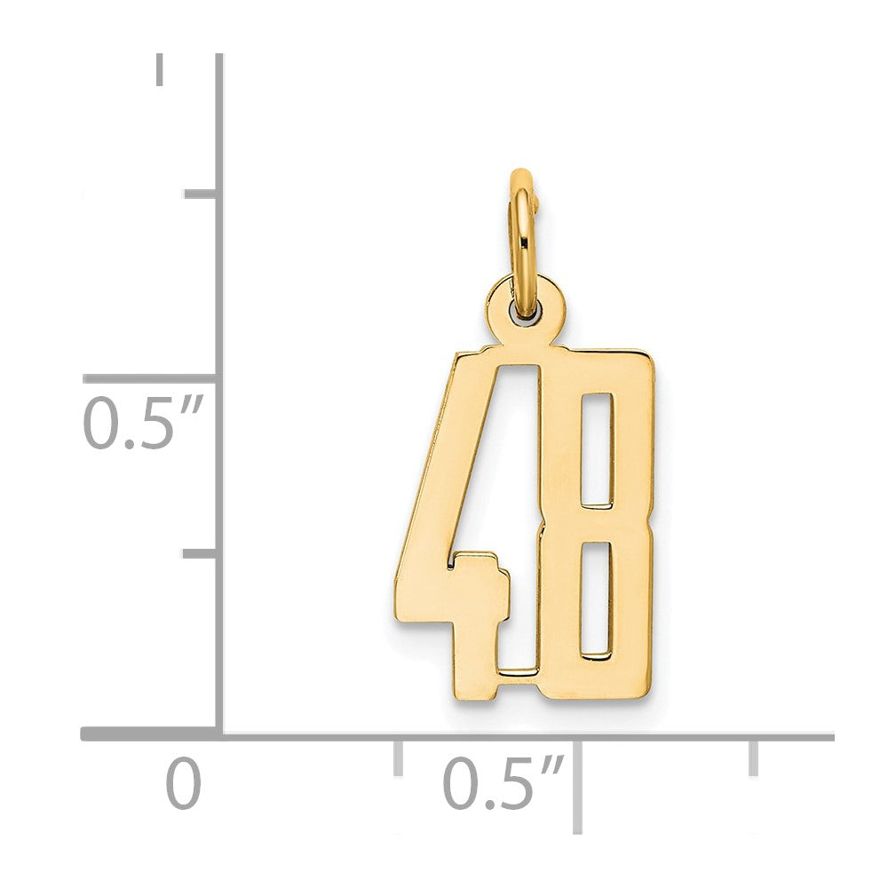 14k Small Elongated Number 48 Charm