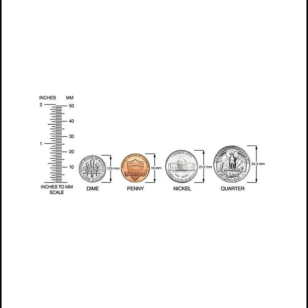 Women's Kentucky Wildcats Stainless Steel Color Bracelet