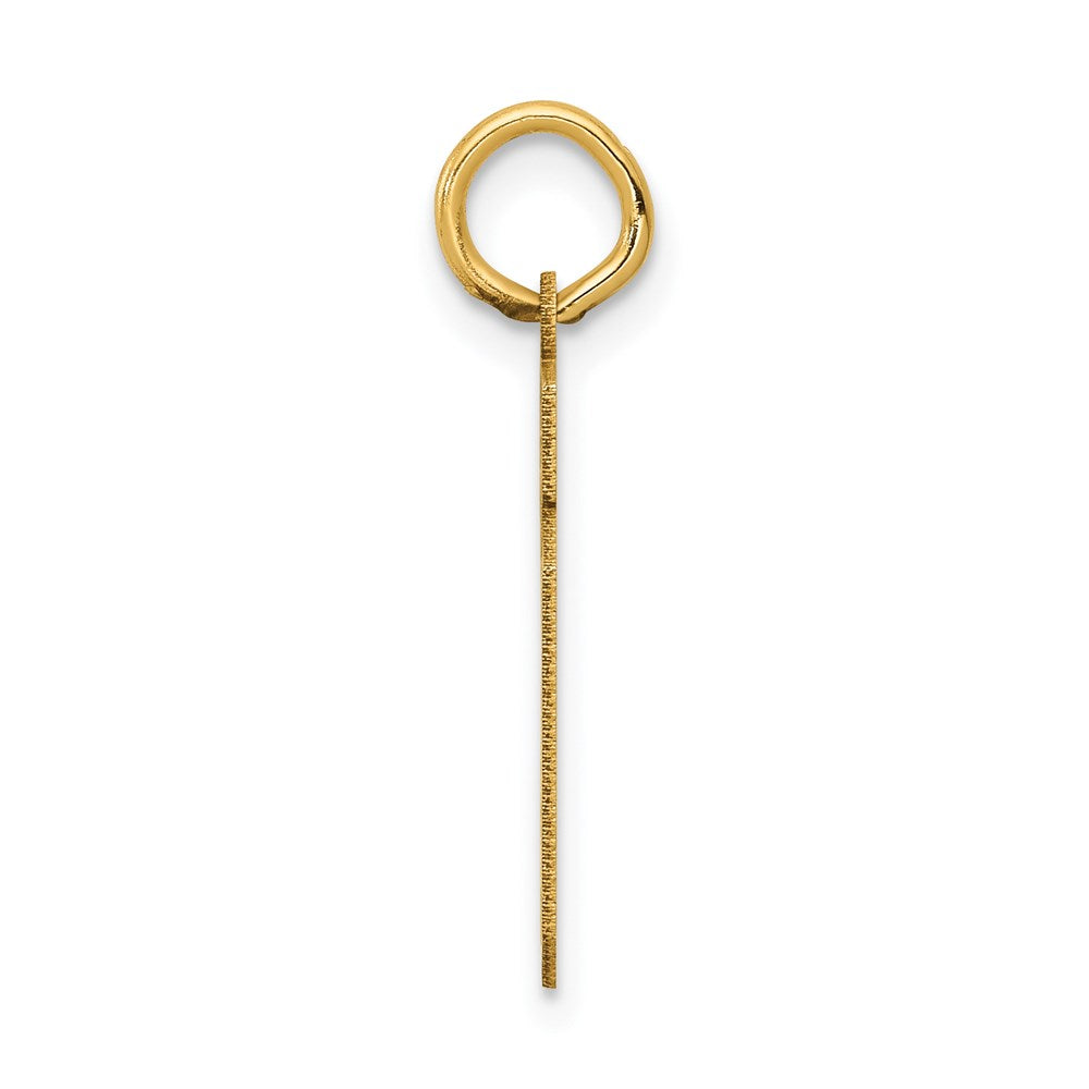 14k Small Satin Number 19 Charm