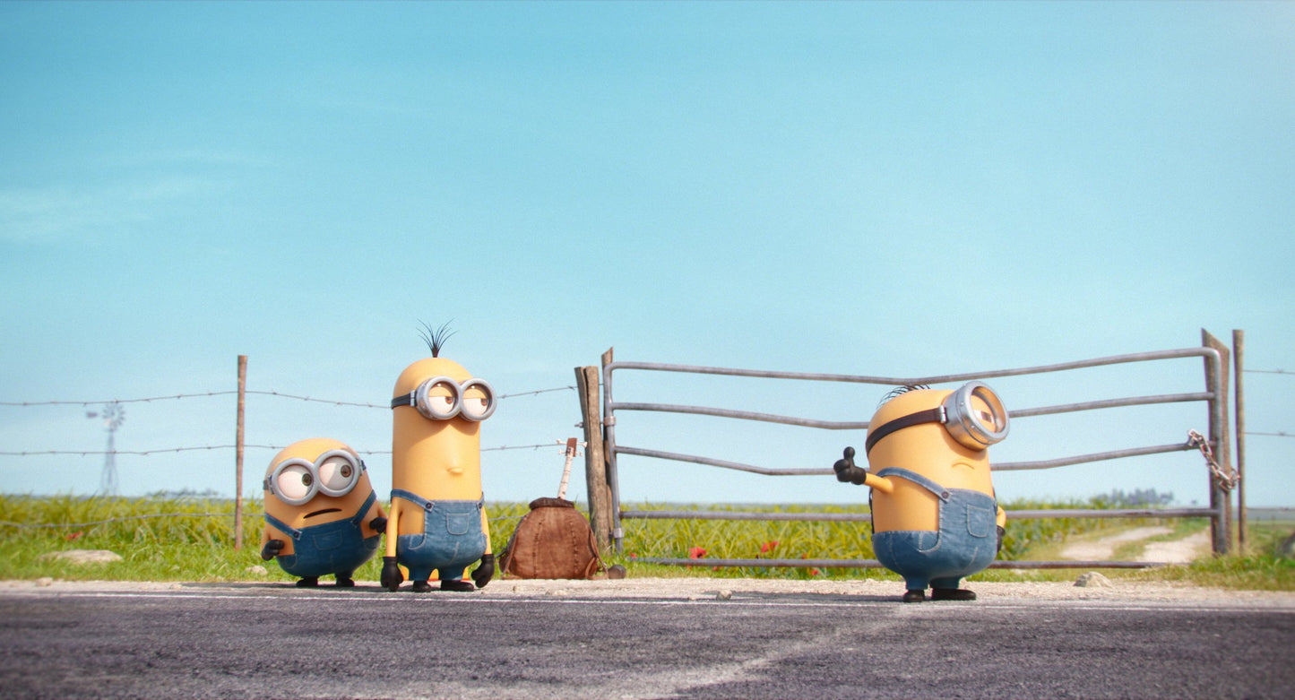 Minions [DVD], Feature, Animated Feature