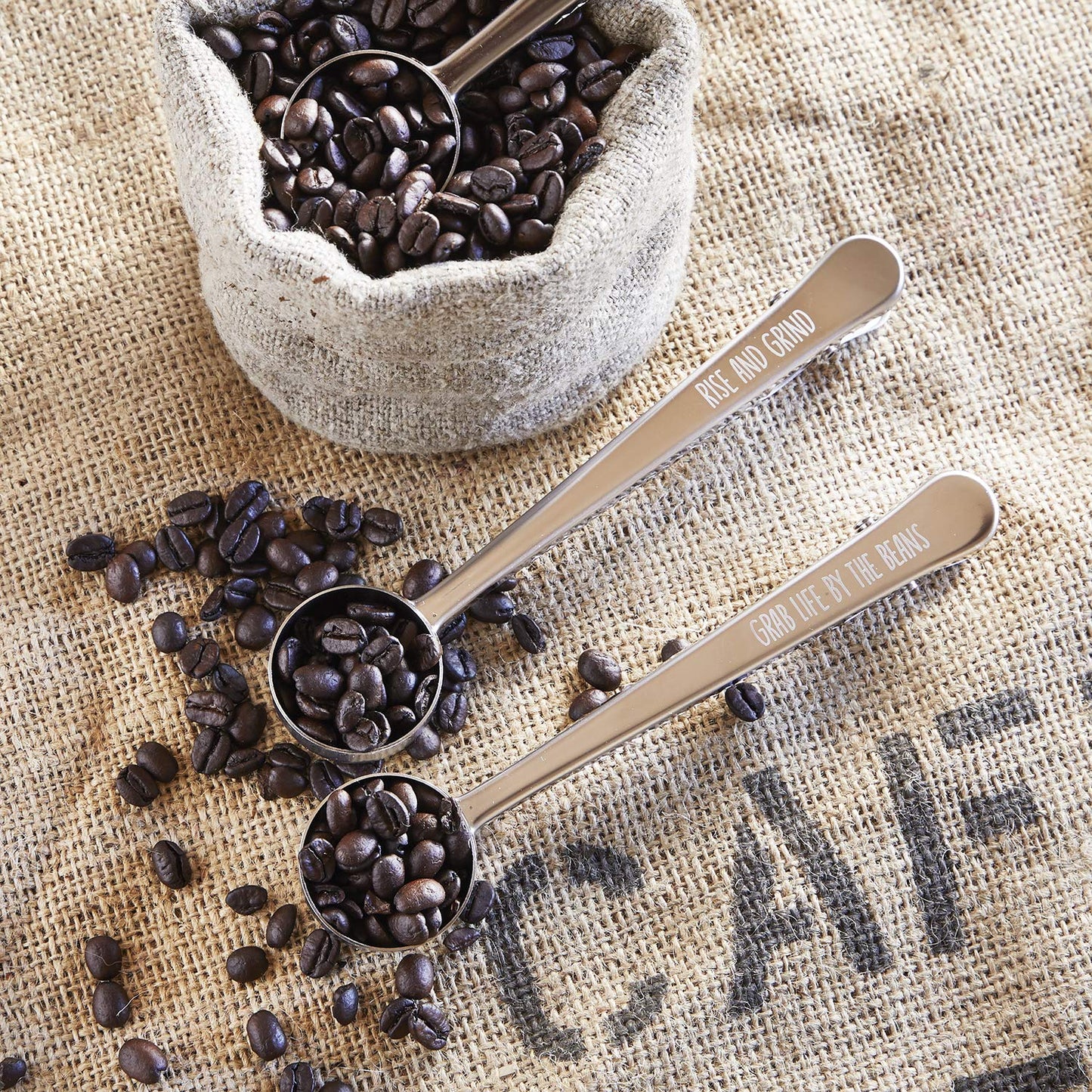 SB Design Studio D4421 SIPS Stainless Steel Coffee Clip/Scoop, 6.75-Ounces, Grab Life