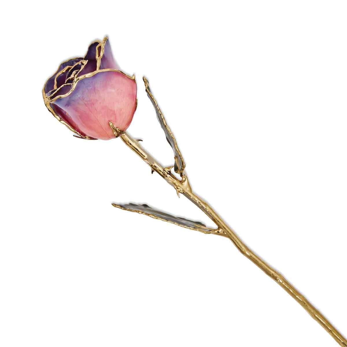 Lacquer Dipped 24K Gold Lacquered Finish Trimmed Pink and Navy Rose