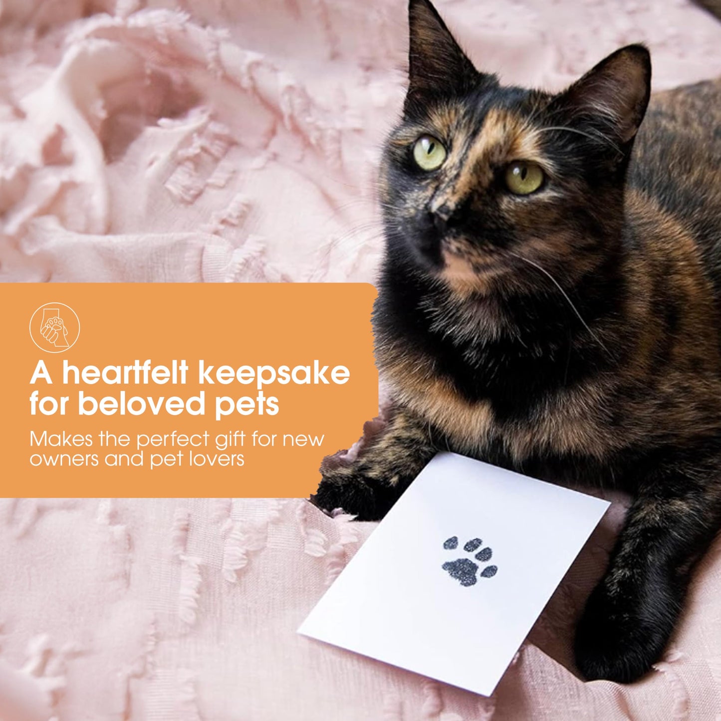 Pearhead Pet Paw Print Clean-Touch Ink Pad Kit with Imprint Cards for Cats or Dogs, Black