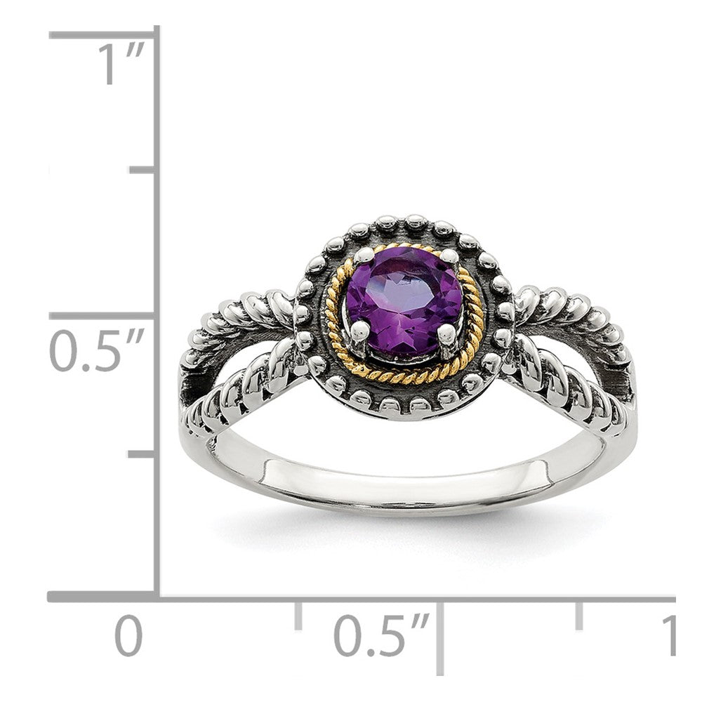 Sterling Silver w/ 14K Accent Amethyst Ring